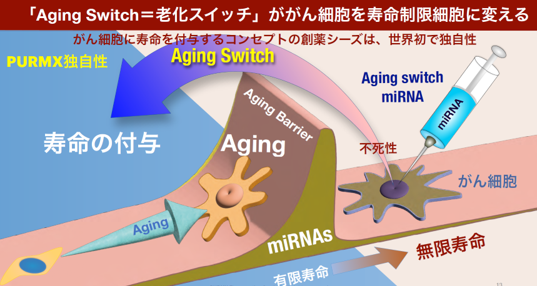 画像1-Aug-10-2026-08-45-11-4966-AM