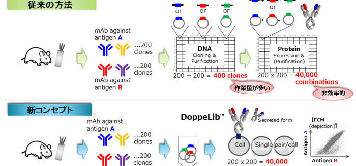 DoppeLibについて-1