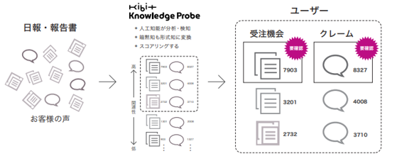 KIBIT Knowledge Probe