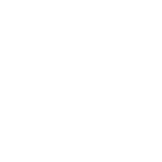 Our Vision